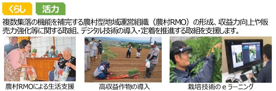 中山間地農業推進対策