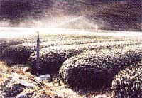 畑地かんがい用水