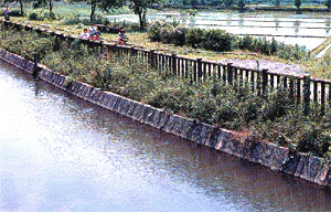 見沼田圃と見沼代用水