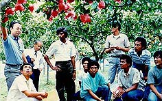 中国・東南アジアからの研修生