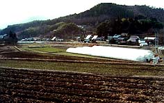 犬甘野地域の風景