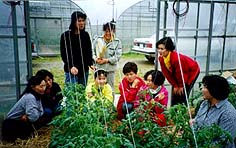 トマト栽培研修会