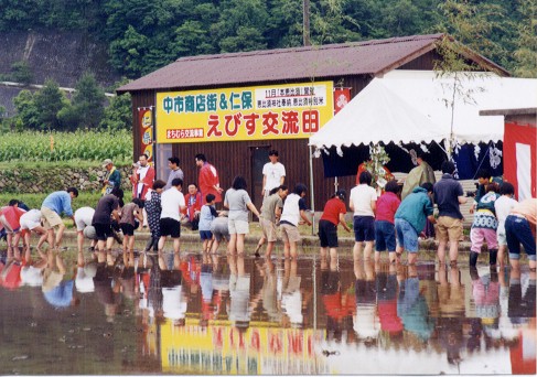 「えびす交流田」での田植 