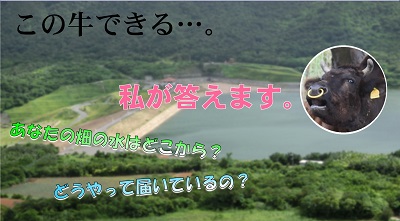 サムネイル(石垣島)