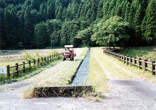 享保水路太鼓橋2