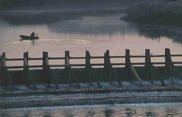 養老川西広板羽目堰