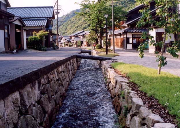 敦賀運河疋田舟川（ひきたふなかわ）1