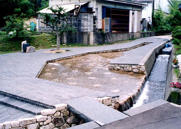 敦賀運河疋田舟川（ひきたふなかわ）3