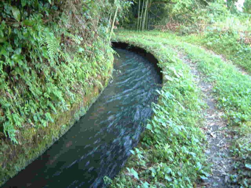 柏川井手(かしわがわいで)