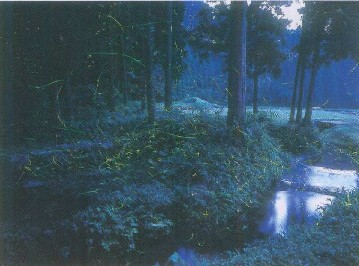 環境も水がつくる(2) 1