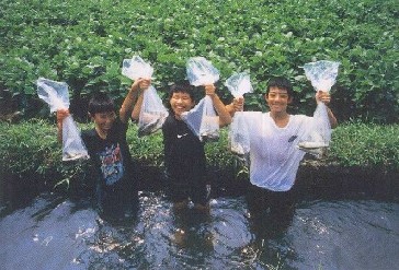 環境も水がつくる(2) 2