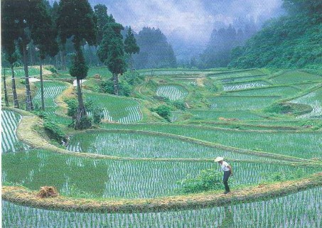 流域という単位1