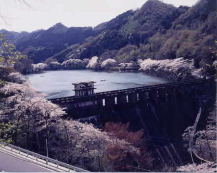 児玉町間瀬ダム写真1