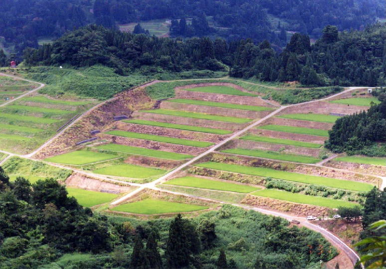 狐塚の棚田