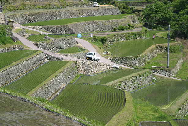 岩村の農村景観1