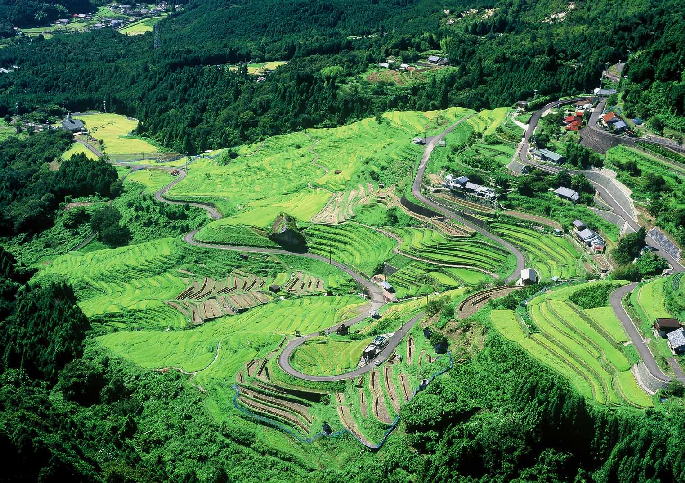 丸山千枚田1