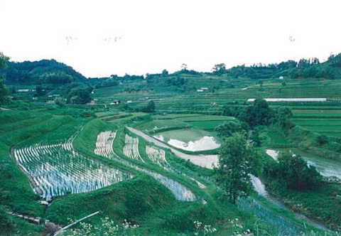 明日香神奈備の郷