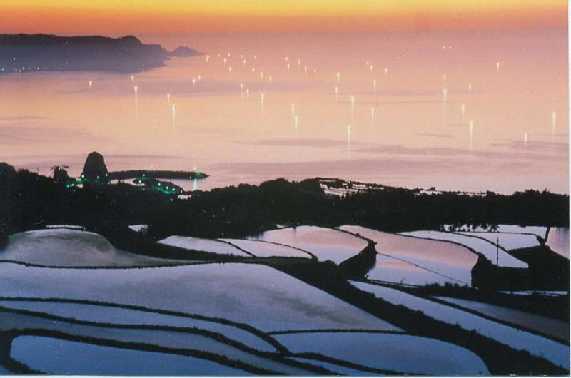 長門市棚田と漁り火の写真