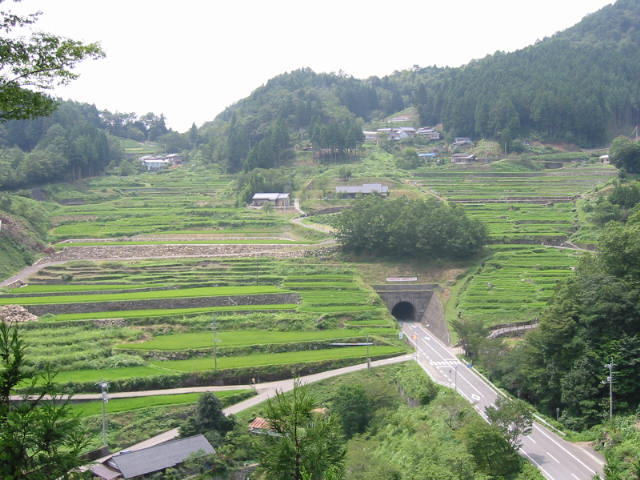 神在居の棚田
