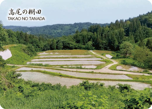 新潟県高尾の棚田の画像データ
