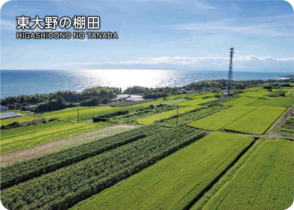 東大野の棚田