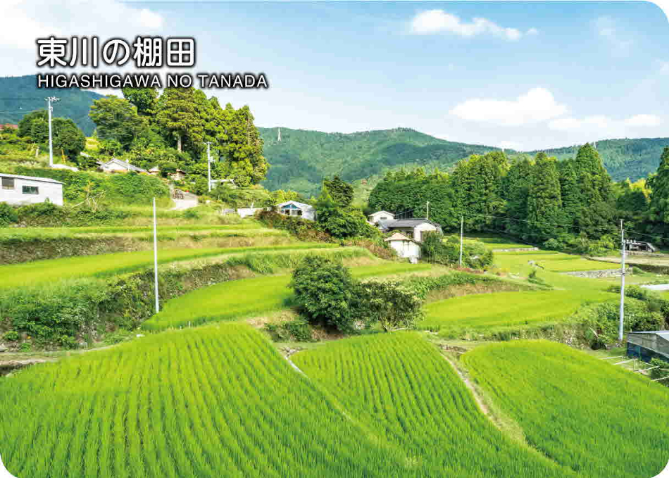 東川の棚田
