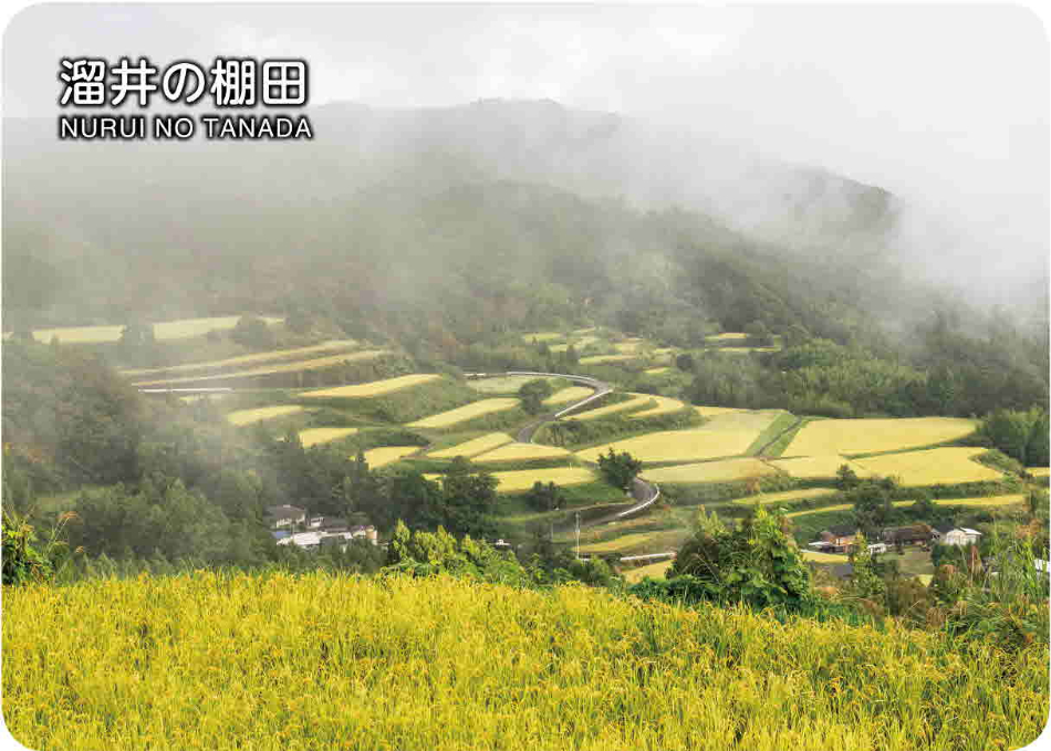溜井の棚田