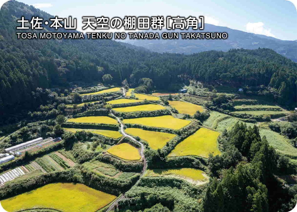 土佐・本山天空の棚田郡➁(高角)