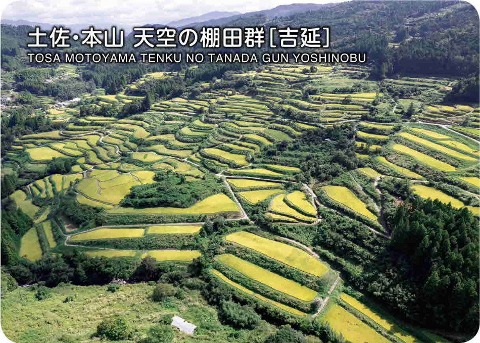 土佐・本山天空の棚田郡➂(吉延)