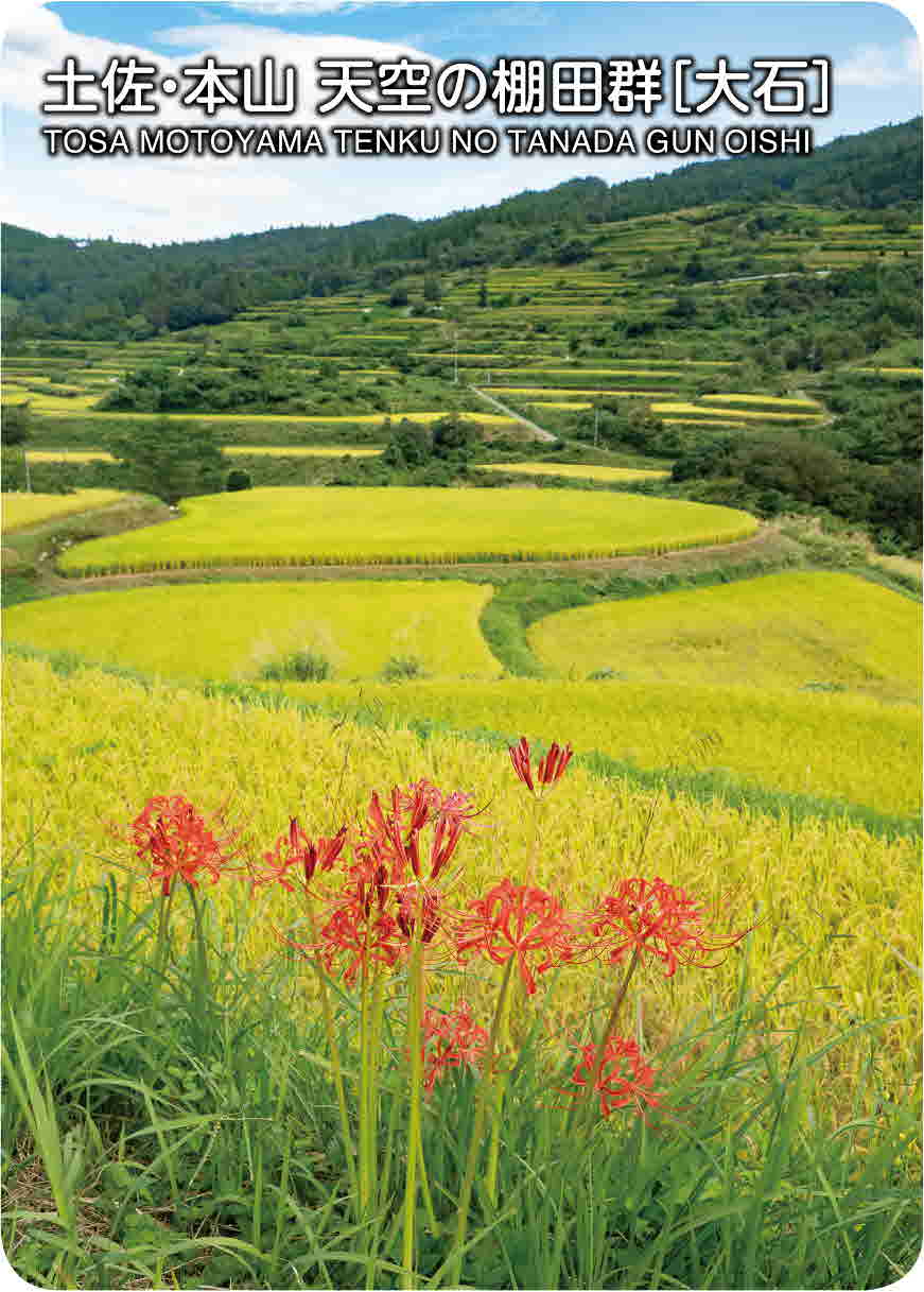 土佐・本山天空の棚田郡➃(大石)