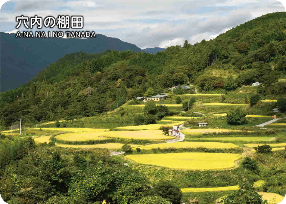 穴内の棚田
