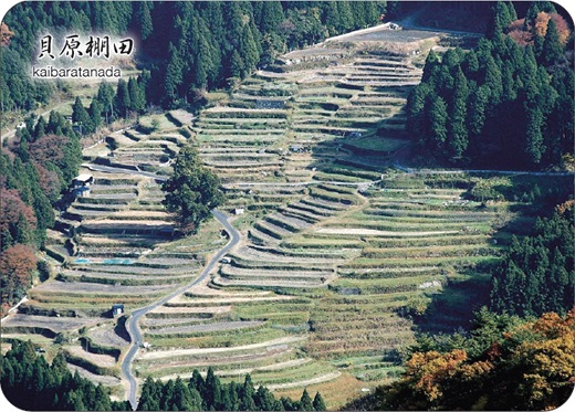 21-03