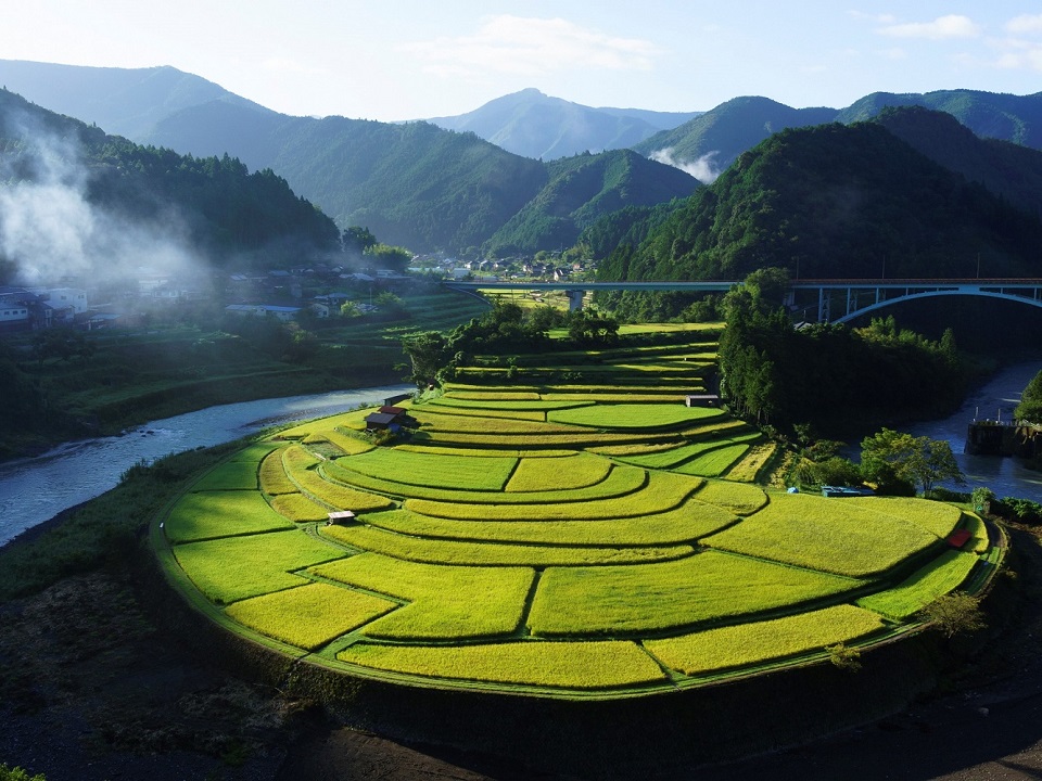 149上湯・あらぎ島