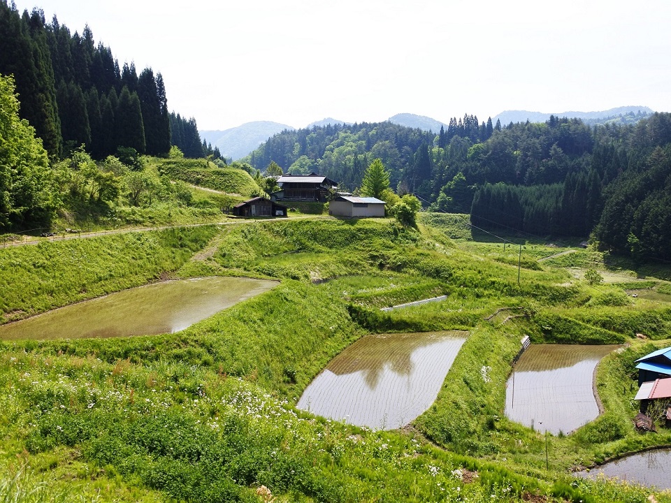097滝町棚田