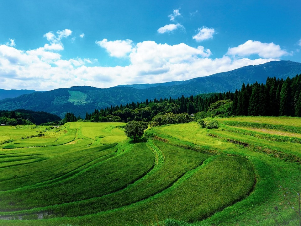 138別宮の棚田