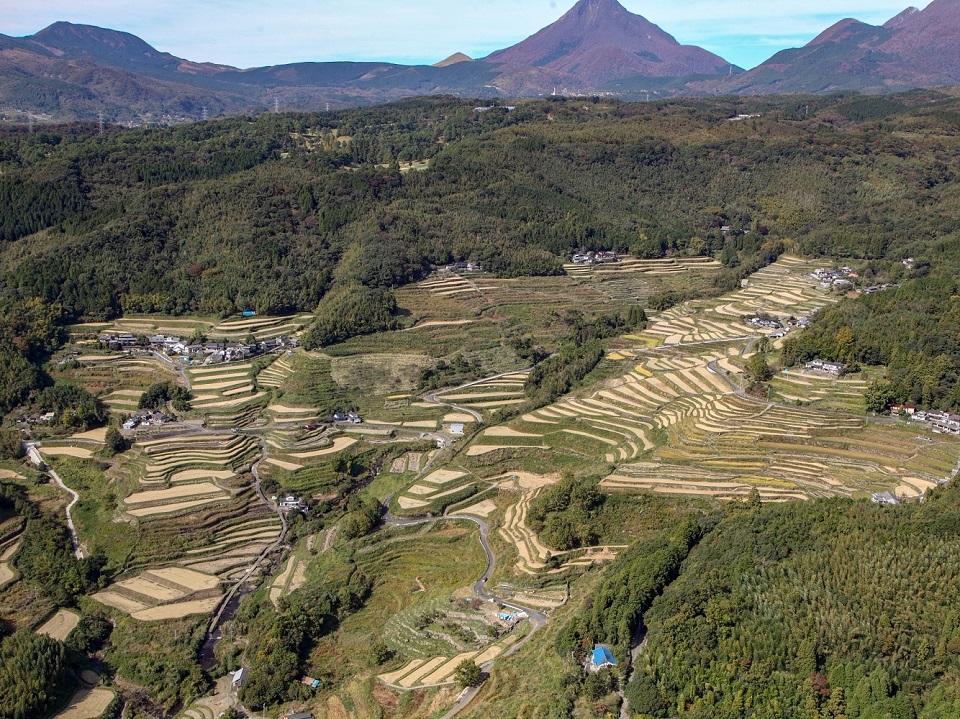 247内成棚田