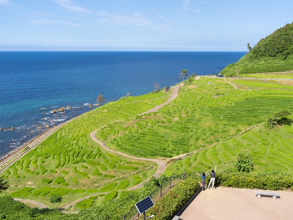 073白米千枚田