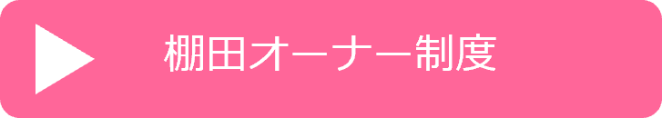 04棚田オーナー