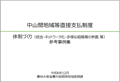 体制づくり（統合・ネットワーク化・多様な組織等の参画 等)参考事例集