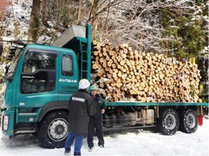 原木の供給・輸送の様子