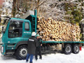 原木の供給・輸送の様子