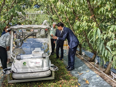 果樹のⅤ字樹形と収穫ロボットを視察する高橋農林水産大臣政務官