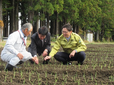 富岡町でたまねぎ生産に関する意見交換を行う高橋農林水産大臣政務官