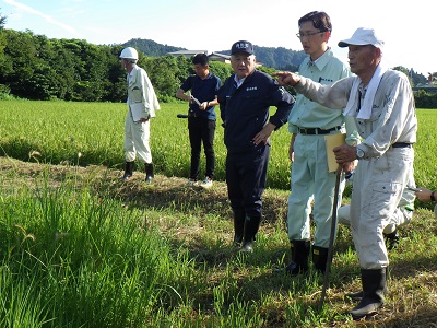 舟形町で小国川の氾濫による土砂流入等農地被害を調査する高橋農林水産大臣政務官