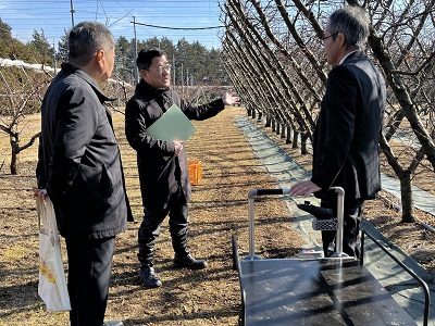 動線を単純化できる省力樹形と農業用追従ロボットを視察する庄子農林水産大臣政務官