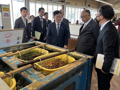 保田漁港の漁協直営魚食普及食堂で地域水産物の利用状況や海業の取組等について説明を受ける庄子農林水産大臣政務官
