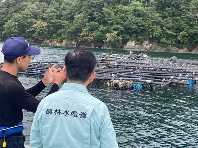 船上からカキ養殖いかだの被災状況を調査する庄子農林水産大臣政務官