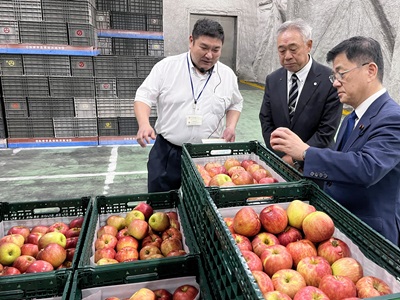 弘前市でりんごの集出荷施設を現地調査する庄子農林水産大臣政務官(右)