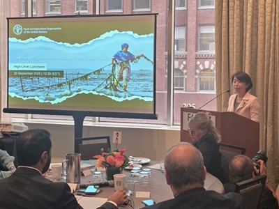 国連食糧農業機関（FAO）主催の会合で、スピーチを行う山本農林水産大臣政務官