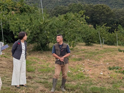 桃の生産者と意見交換を行う山本農林水産大臣政務官（左側）